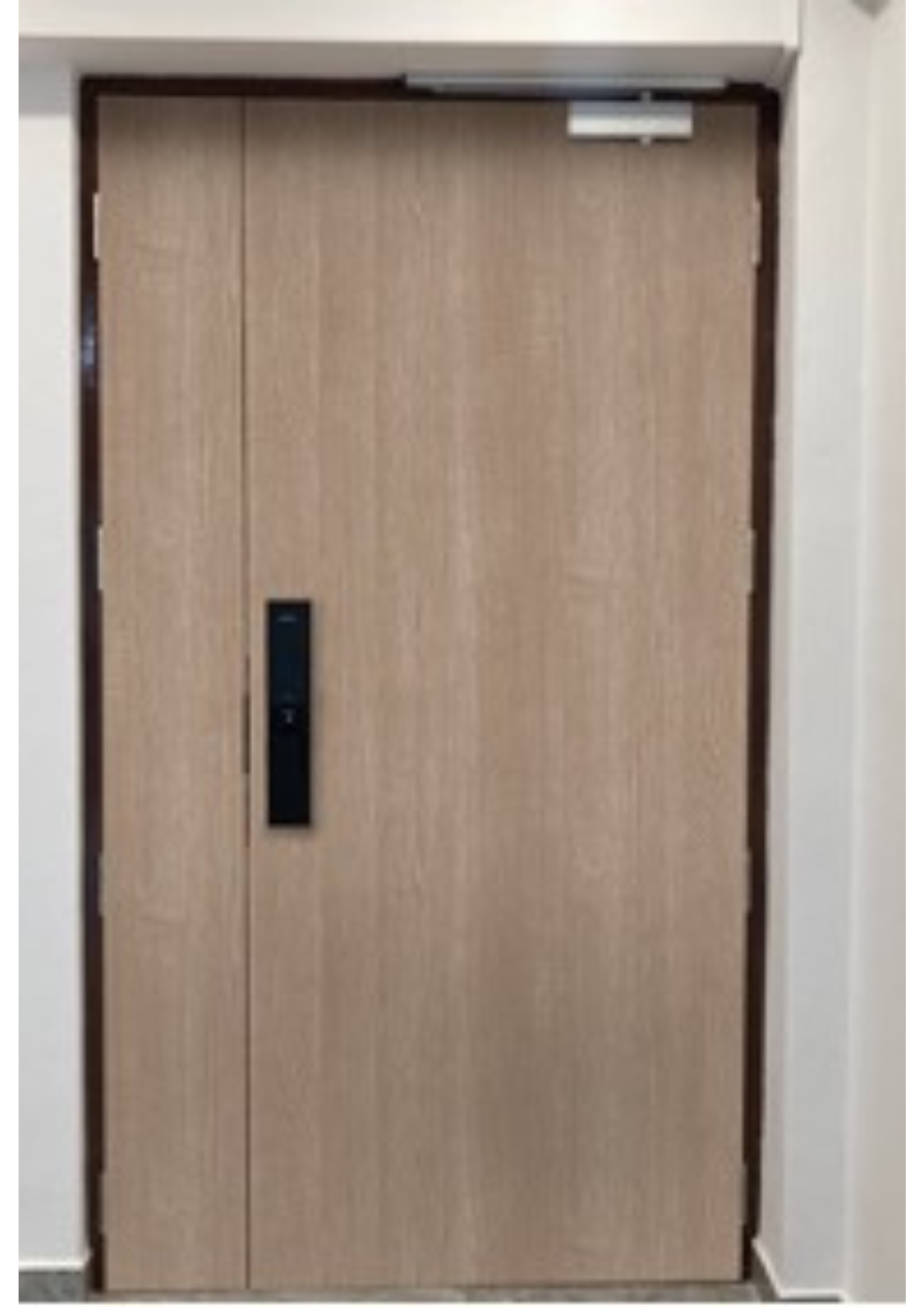 Timber door contractor in Singapore for HDB condo BTO and commercial projects